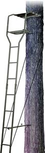 AMERISTEP 8300A Deluxe Ladder Stand, 300 lb Weight Capacity, 15 ft L, Steel Hunting Ameristep