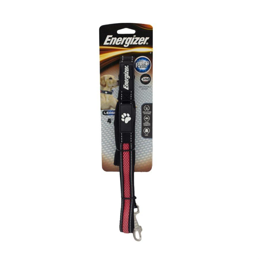 Energizer Blaze USB Dog Leash 4' - Red Dog Supplies Energizer