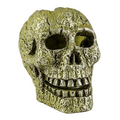 Spectrum GloFish Ornament Skull Aquatic Spectrum Brands