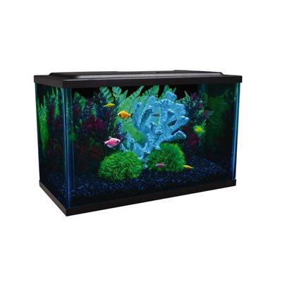 Spectrum GloFish Glass Aquarium Kit 5 Gallons Aquatic Spectrum Brands