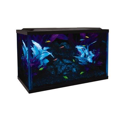 Spectrum GloFish Glass Aquarium Kit 10 Gallons Aquatic Spectrum Brands