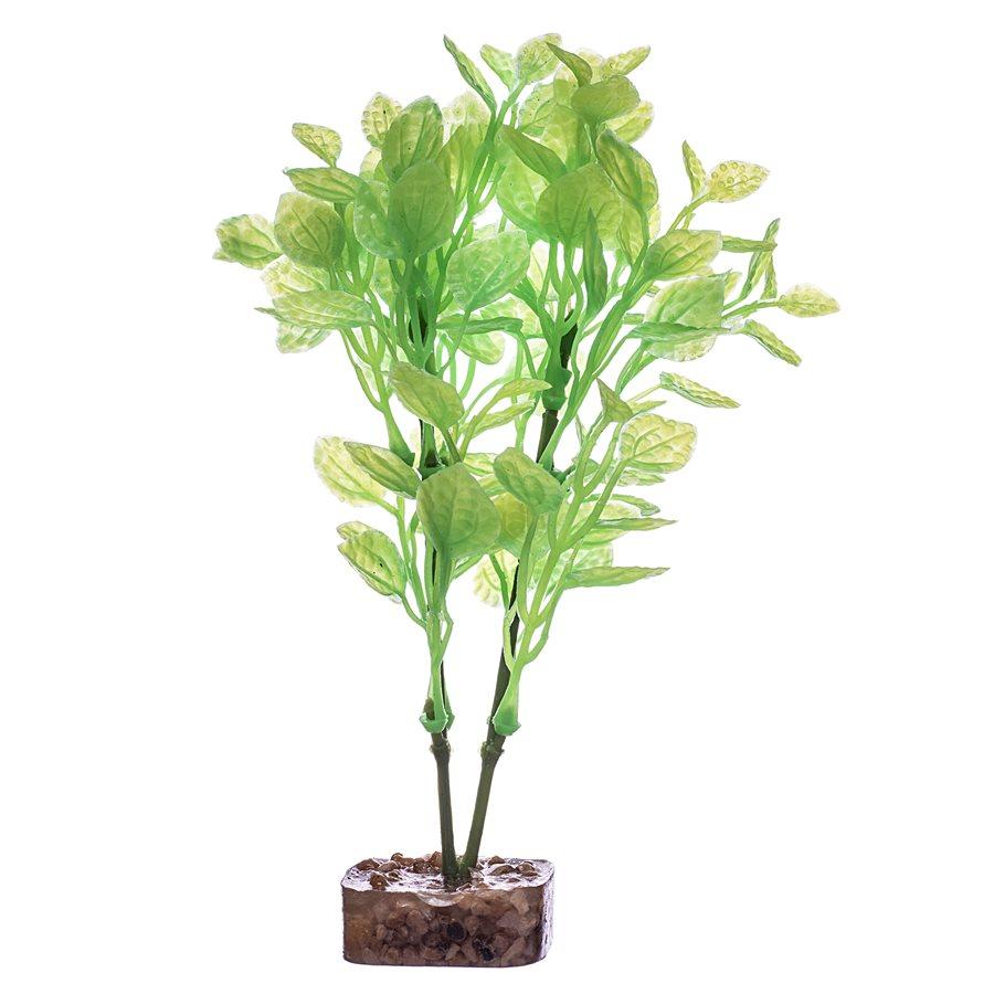 Spectrum GloFish Plant Medium Green Yellow Aquatic Spectrum Brands