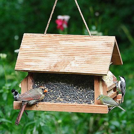 Perky-Pet® The Lodge Wild Bird Feeder KB Depot Express