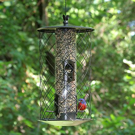 Perky-Pet Birdscapes® The Preserve™ Feeder KB Depot Express