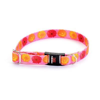 Reflex Collar 1/2" Break-Away Daisies Dog Supplies Reflex Corporation