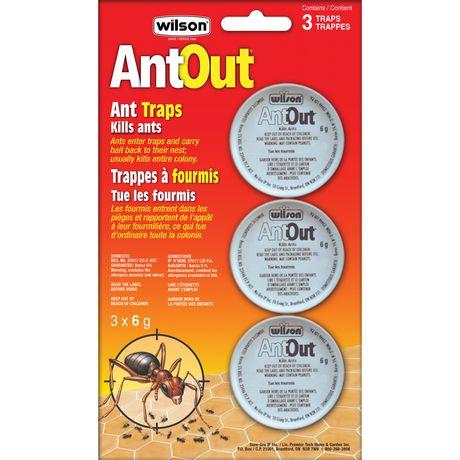 Wilson AntOut Ant Traps (3 Pack) Ant Traps Wilson