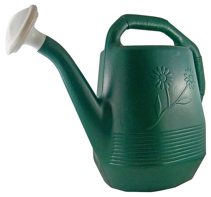 Large Watering Can Lawn and Garden orgill