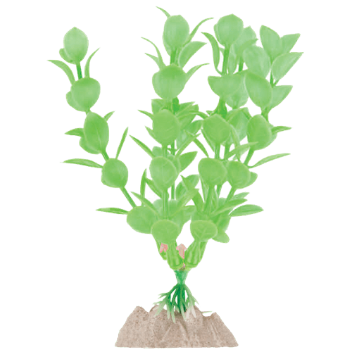 Spectrum GloFish Plant Medium Green Aquatic Pet Science