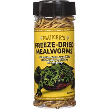 Fluker's Freeze-Dried Mealworms Small Animal Supplies Kakabeka Depot Express
