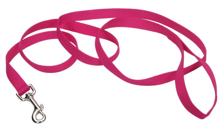 Coastal Single Ply Nylon Leash Pink Flamingo Dog 1X1PC 1inx4ft
