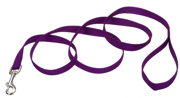 Coastal Single Ply Nylon Leash Purple Dog 1X1PC 1inx4ft
