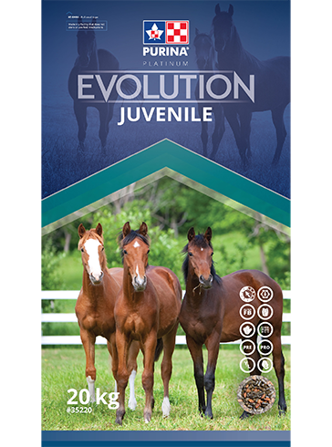 Purina Chow Evolution Juvenile Horse 20KG