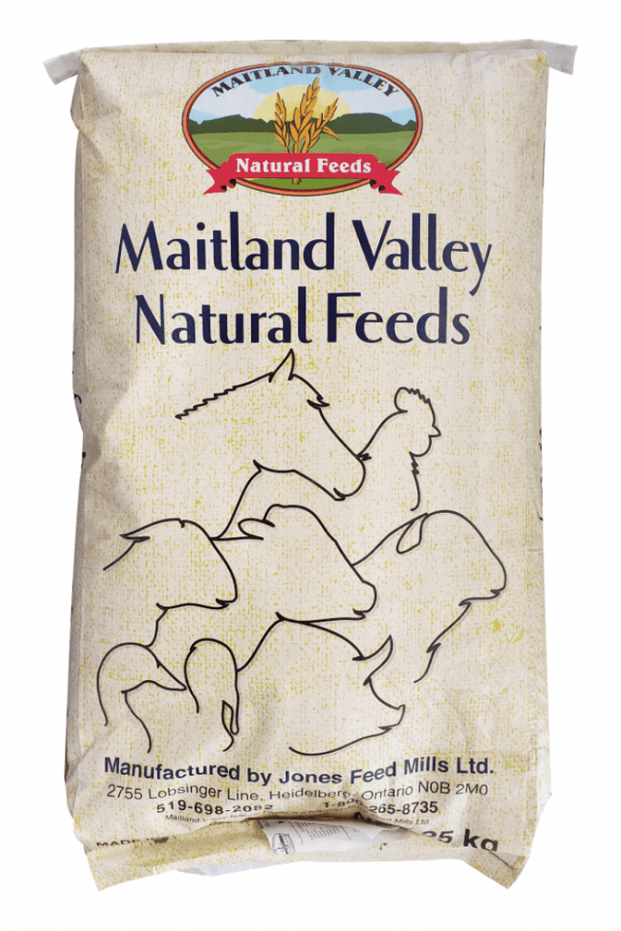 Maitland Valley Layer Pellets 18% NON-GMO Livestock Feed Maitland Natural Valley Feeds
