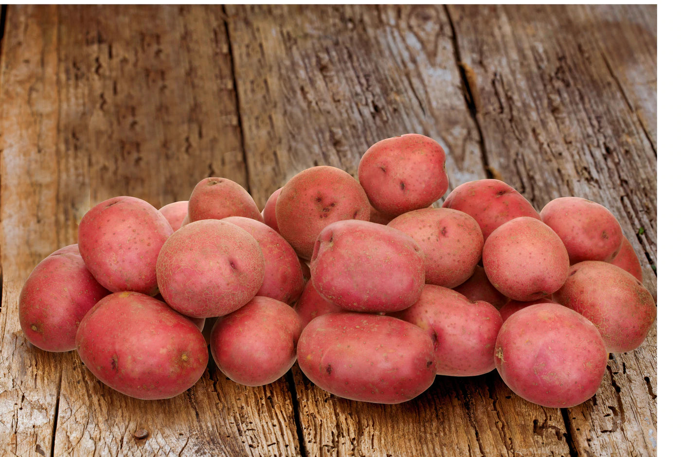 Mckenzie Seed Potatoes 4.4lb