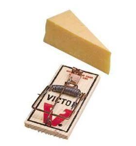 Trap Mouse WDN Victor 2PK Mouse Traps orgill