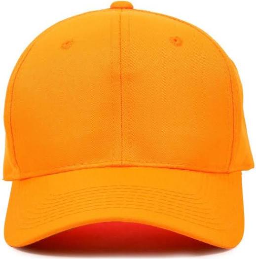 Outdoor Cap Plastic Snapback Variety Styles Hunting Continental Sports Inc. Blaze Orange Plain