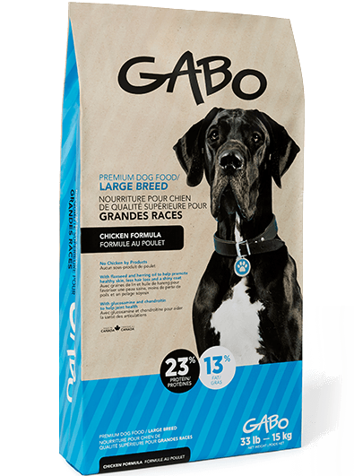 Gabo Large Breed KB Depot Express