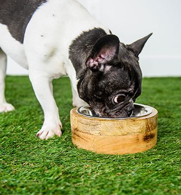 Gf Pet Wood Bowl Natural Small Dog