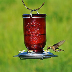 Perky Pet Red Mason Jar Hummingbird Feeder