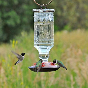 Perky Pet Antique Hummingbird Feeder Square Clear