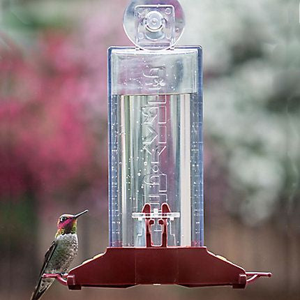 Perkys Pet Window Hummingbird Feeder Bird 8oz