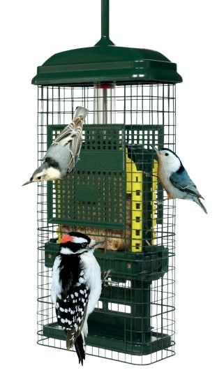Brome Squirrel Buster Suet Bird 1pc