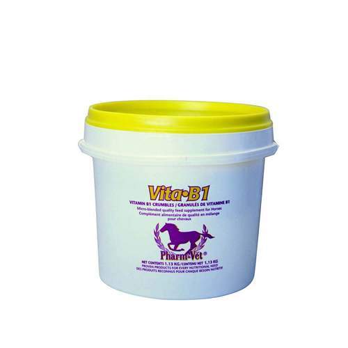 Vitamin B1 Supplement Dominion Vet Labs 