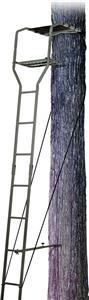 AMERISTEP 8300A Deluxe Ladder Stand, 300 lb Weight Capacity, 15 ft L, Steel Hunting Ameristep 