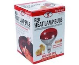 Little Giant Red Heat Lamp Bulb 250W 120V poultry Kane Vet Supplies 