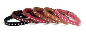 Circle T Oak Tanned Leather Spiked Dog Collar Pink 5/8x16in
