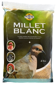 Picardie White Millet Bird Seed 2KG