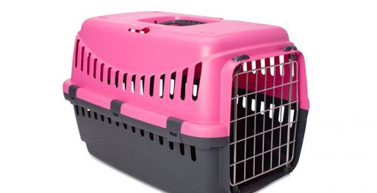 Bergamo Gipsy Small Metal Door Pet Carrier Fuschia Dog 1X1PC 46x31x32cm