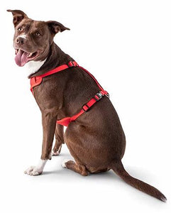 GF Pet Travel Harness Red Small