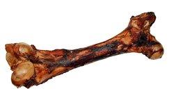 Open Range Cured Dino Bone Dog Food Leis Pet Show 