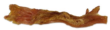 Open Range – Beef Tendon – 20-28cm (8-11in)
