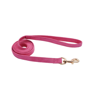 Coastal Accent Microfiber Leash - 5/8in x 6ft Posh Pink with Flower KB Depot Express 