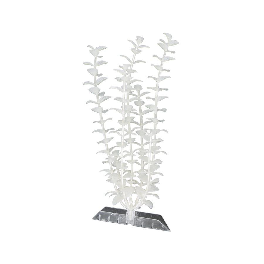 Spectrum GloFish Plant Large White Bacopa Aquatic Spectrum Brands 