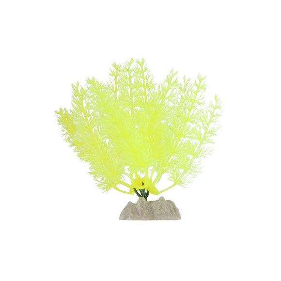 Spectrum GloFish Plant Small Yellow Aquatic Spectrum Brands 
