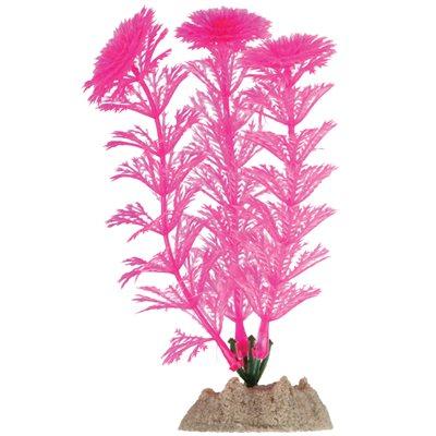 Spectrum GloFish Plant Small Pink Aquatic Spectrum Brands 