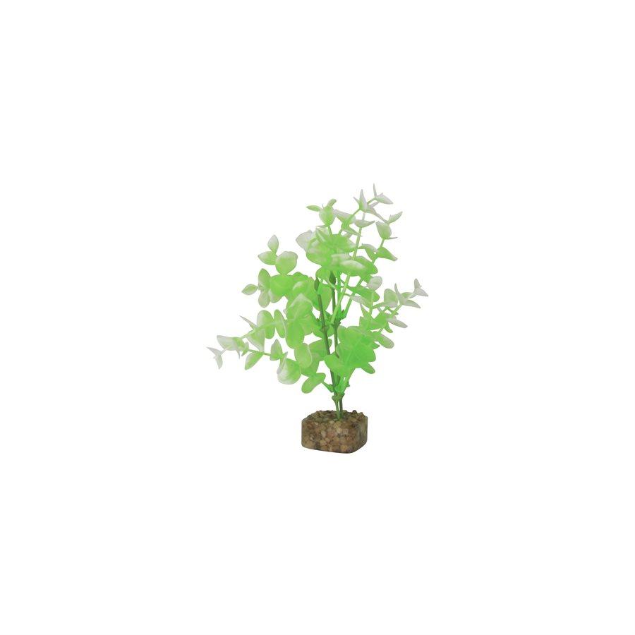 Spectrum GloFish Plant Medium Green White Aquatic Spectrum Brands 