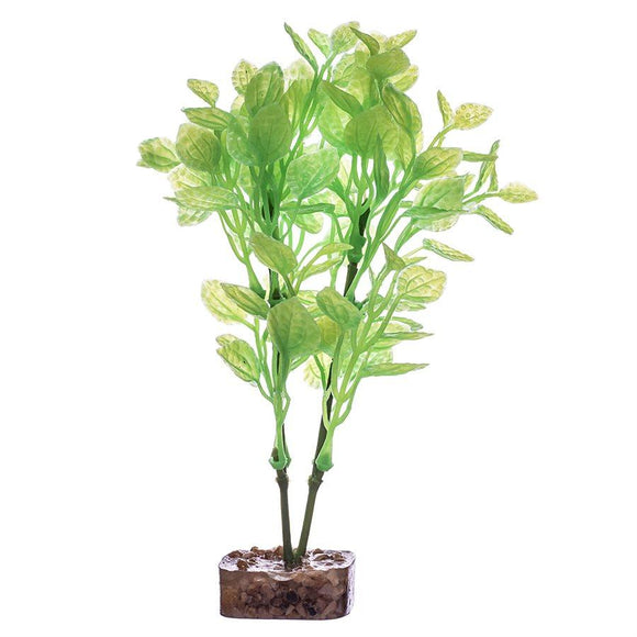 Spectrum GloFish Plant Medium Green Yellow Aquatic Spectrum Brands 