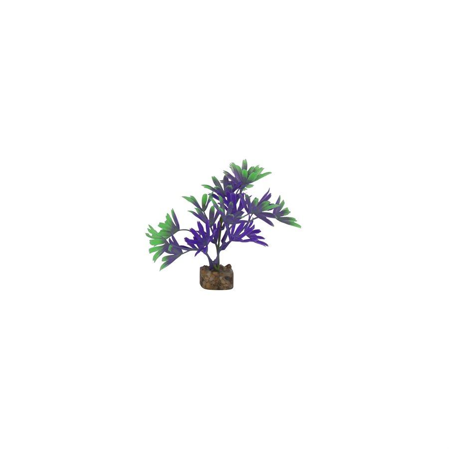 Spectrum GloFish Plant Small Purple Green Aquatic Spectrum Brands 