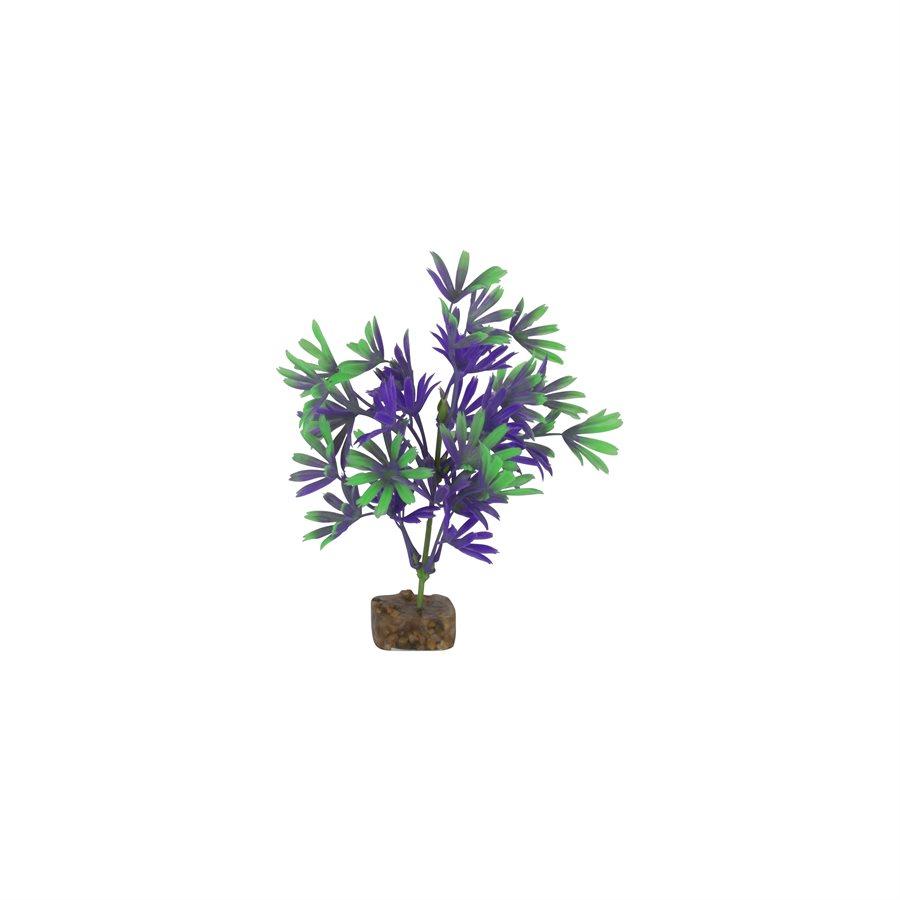 Spectrum GloFish Plant Medium Purple Green Aquatic Spectrum Brands 