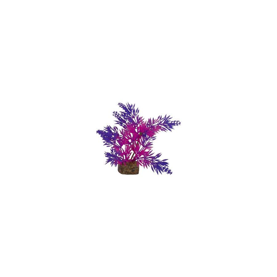 Spectrum GloFish Plant Small Purple Pink Aquatic Spectrum Brands 