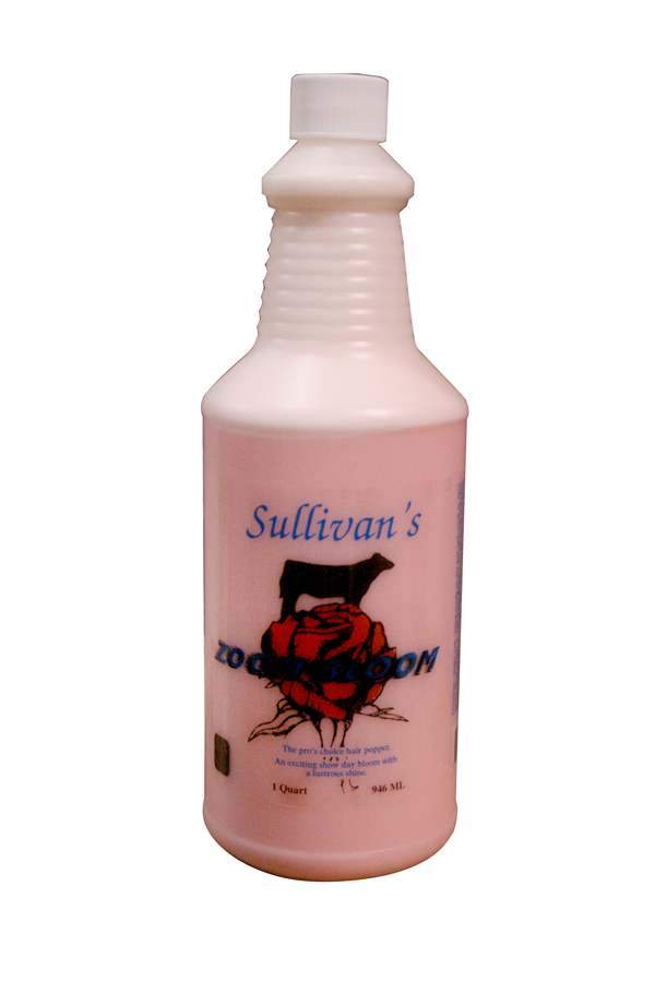Zoom Bloom Sullivan 