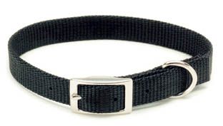 Coastal Single Ply Nylon Dog Collar Purple 5/8x16in