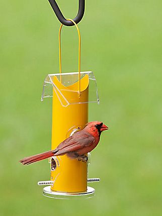 Perkys Pet Yellow Metal Tube Bird Feeder 4 ports 15in
