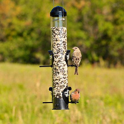 Perky-Pet® Squirrel Shield Tube Bird Feeder KB Depot Express 