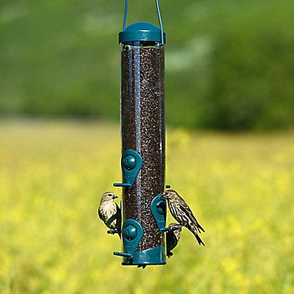 Perky-Pet® Wild Bird and Finch Feeder KB Depot Express 