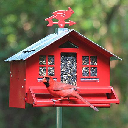 Perky-Pet® Squirrel-Be-Gone® II Country Style Wild Bird Feeder KB Depot Express 